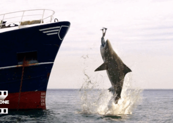 Deep Blue Sea 3 (2020) Clip “That’s Weird” HD