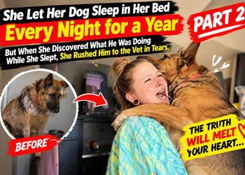 🔥 Part 2: The Vet Discovered What Her Dog Had Been Hiding for Months — The Truth Left Her in Tears